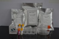 胶原包被12.5c㎡培养方瓶（肝细胞培养推荐★★★★★） 细胞培养更便捷 / 稳定 / 提效