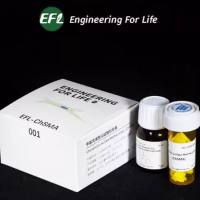 甲基丙烯酰化硫酸软骨素（ChSMA）