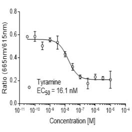 Rat TA1 (TAAR1)受体稳定表达细胞株