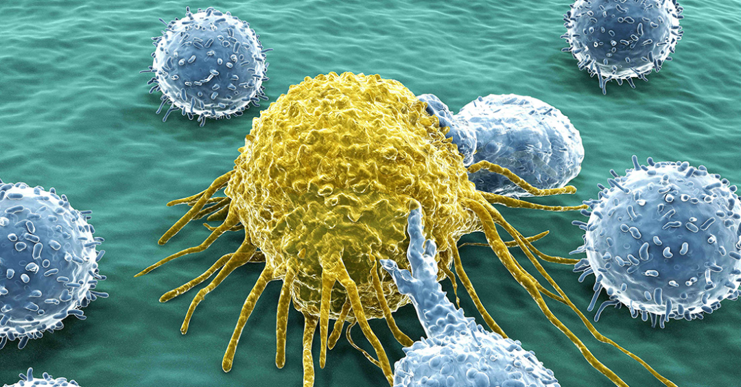 革兰氏染色实验的拓展知识