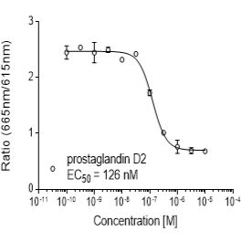 Rat FP (PTGFR)受体稳定表达细胞株