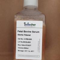 胎牛血清（Fetal Bovine Serum） C-FBS-500 Scitecher