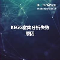 KEGG富集分析失败原因