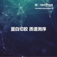 蛋白切胶 质谱测序