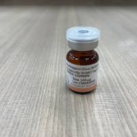 猴痘病毒蛋白Monkeypox Virus (MPXV) A29L Protein