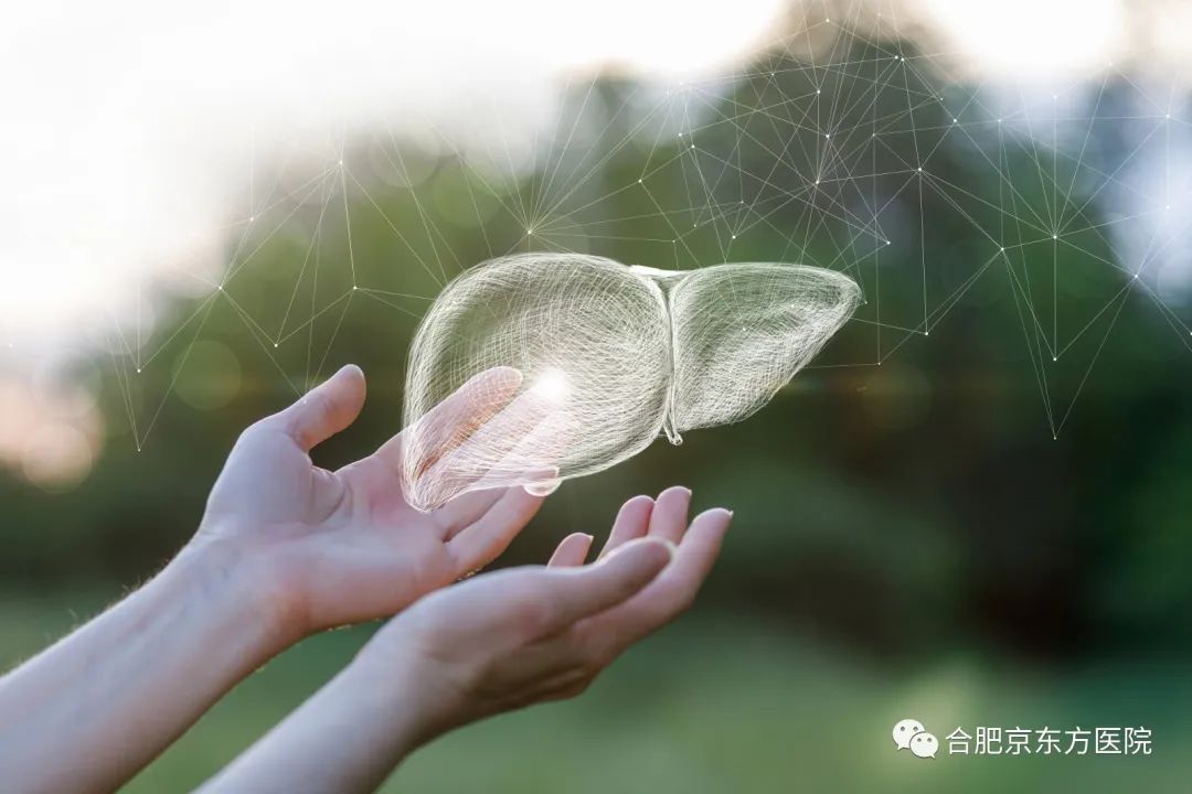 世界肝炎日，合肥京东方医院医生为您解答肝病疑惑