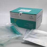 PAGE 4-20%预制胶，12孔