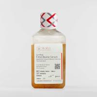 VivaCell 胚胎干细胞专用胎牛血清 C04002-500