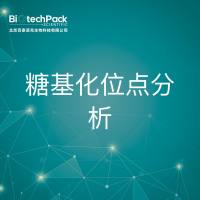 NMR分析-糖基化位点分析-技术服务