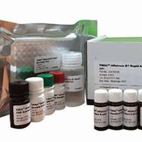 检测组织中的呋喃托因代谢物AHD