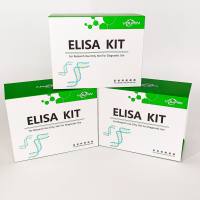 ELISA技术服务