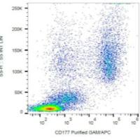 CD177 Monoclonal Antibody (MEM-166)