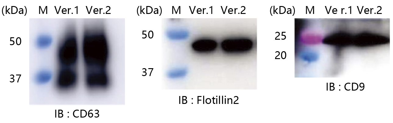 2216190552362456.png 2216190552362456.png