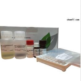 17beta-雌二醇检测试剂盒