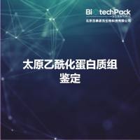 太原乙酰化蛋白质组鉴定