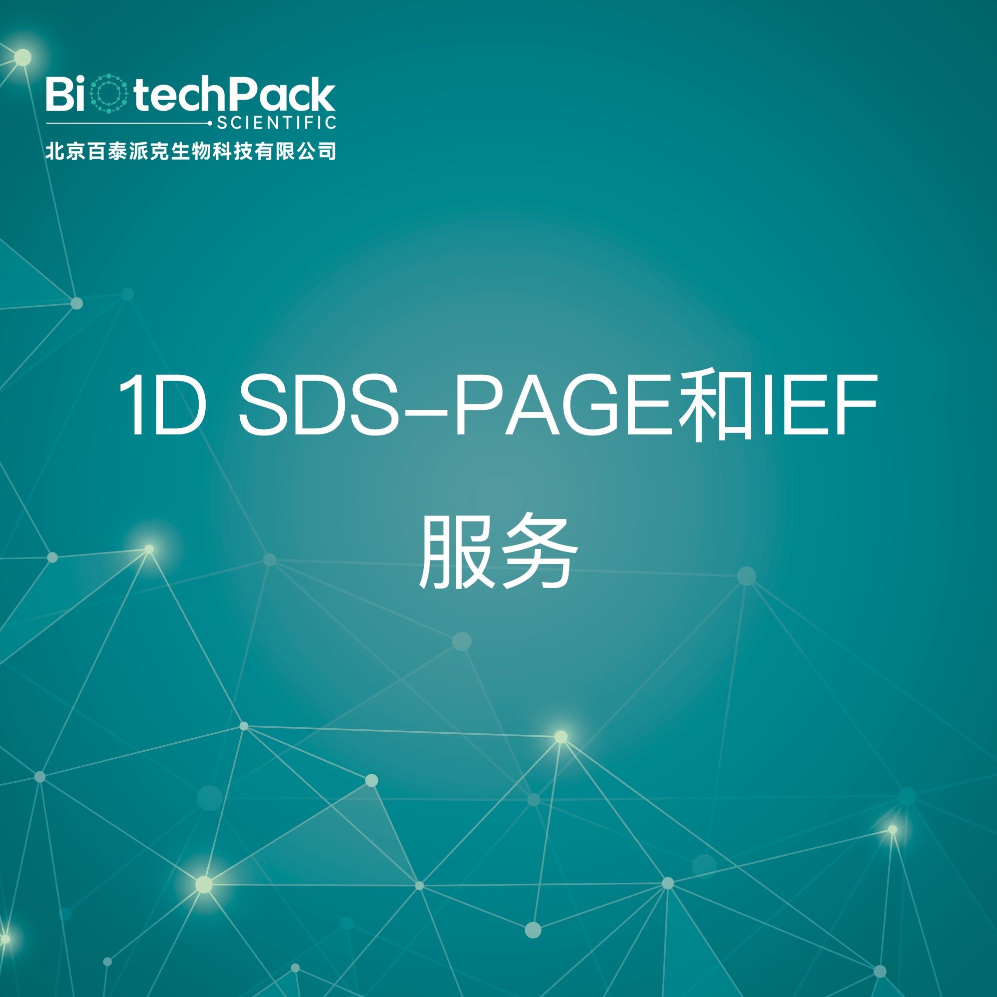 1D SDS-PAGE和IEF服务
