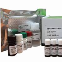 检测组织中的呋喃西林代谢物SEM