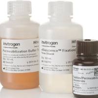 eBioscience™ Foxp3/转录因子流式固定破膜缓冲液