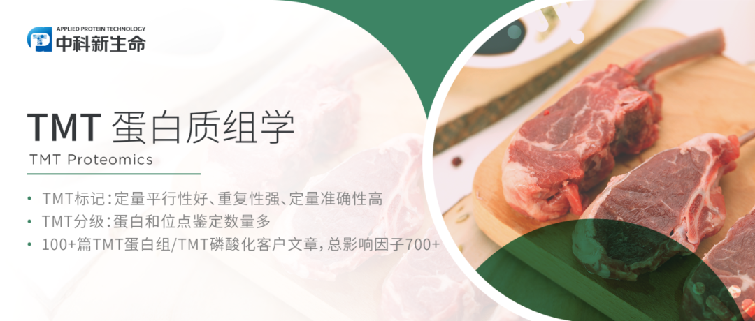 项目文章Meat Science（IF 7.1）| 内蒙古农业大学利用TMT标记蛋白组学探究羔羊骨骼肌和肉质发育机制
