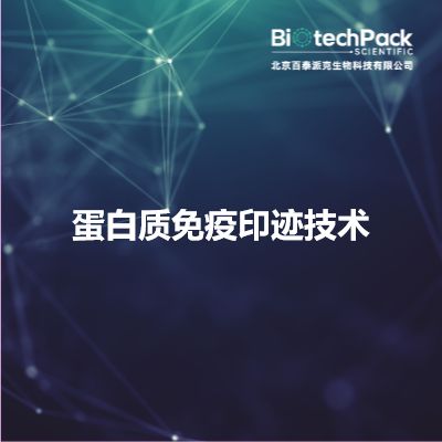 蛋白质免疫印迹技术