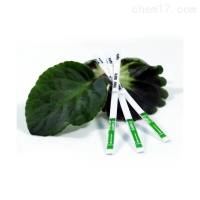 Agdia辣椒轻斑驳病毒（PMMoV）快速检测试纸条