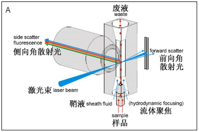 MoniSight 科研型流式细胞仪