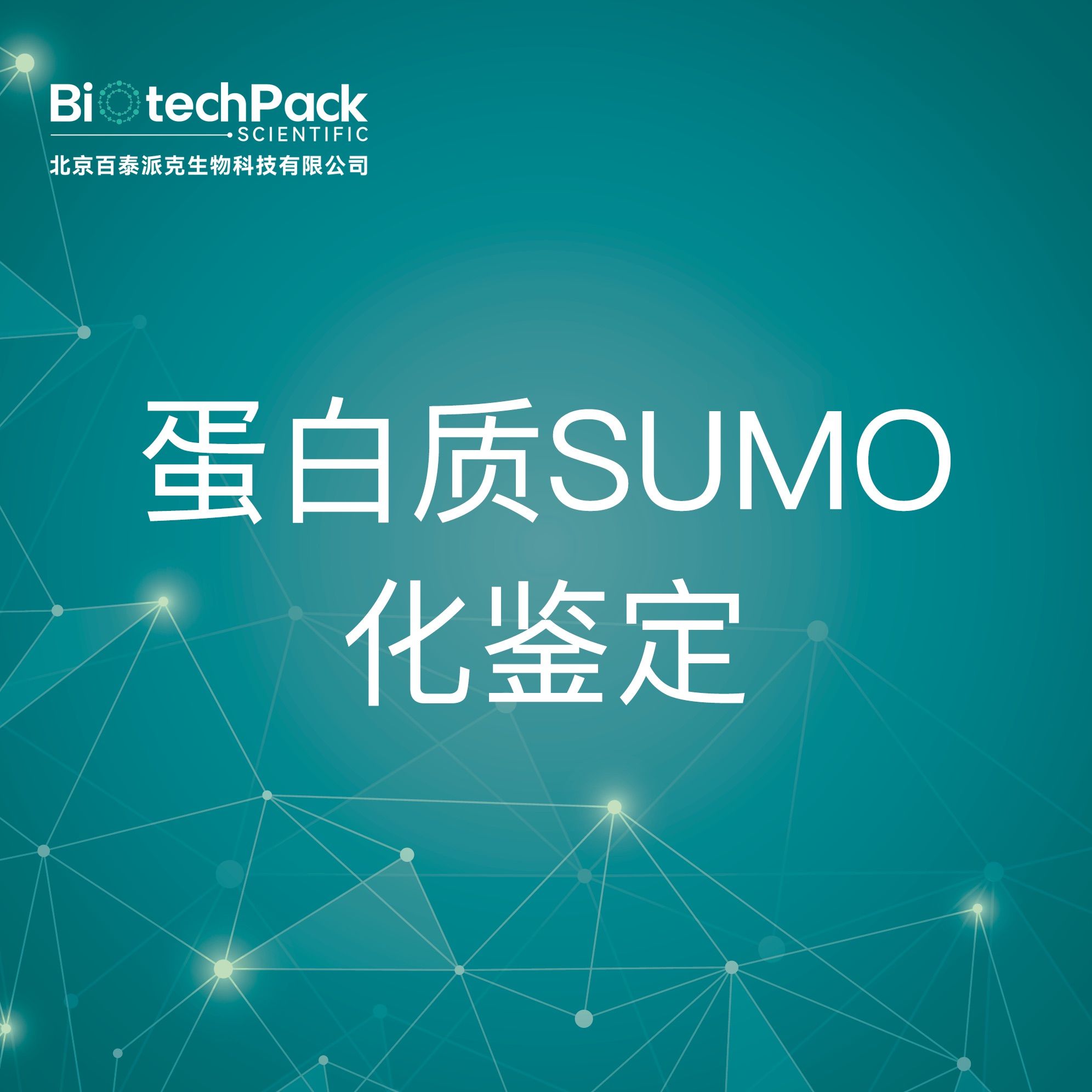 NMR分析-蛋白质SUMO化鉴定-技术服务