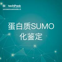 NMR分析-蛋白质SUMO化鉴定-技术服务