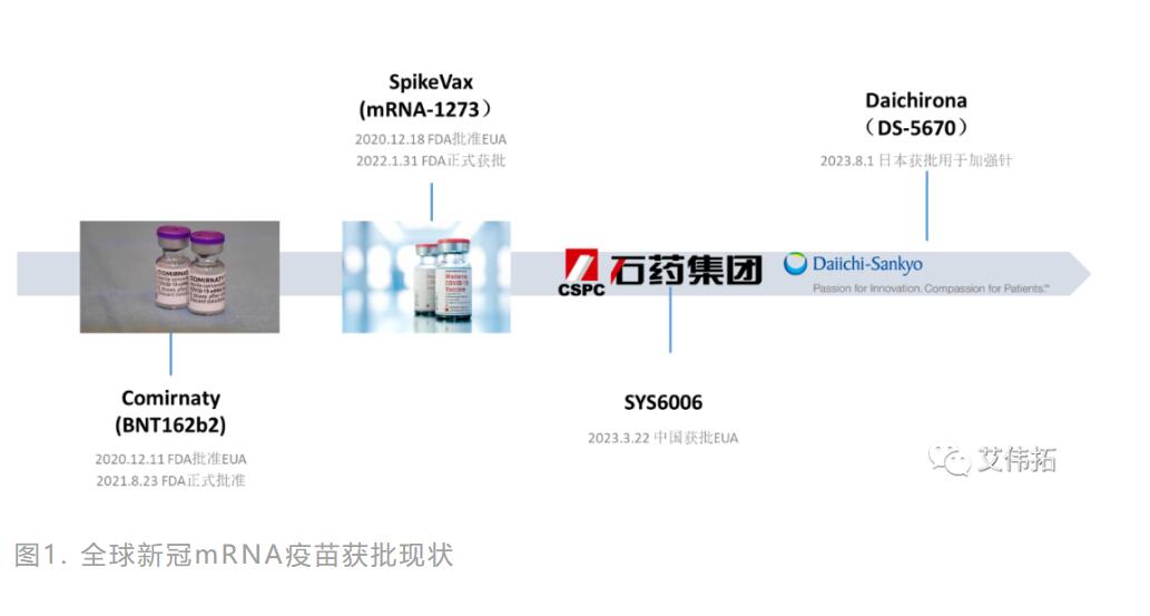 日本shou款：第一三共新冠mRNA疫苗组成推测