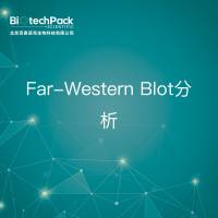 NMR分析-Far-Western Blot分析-技术服务