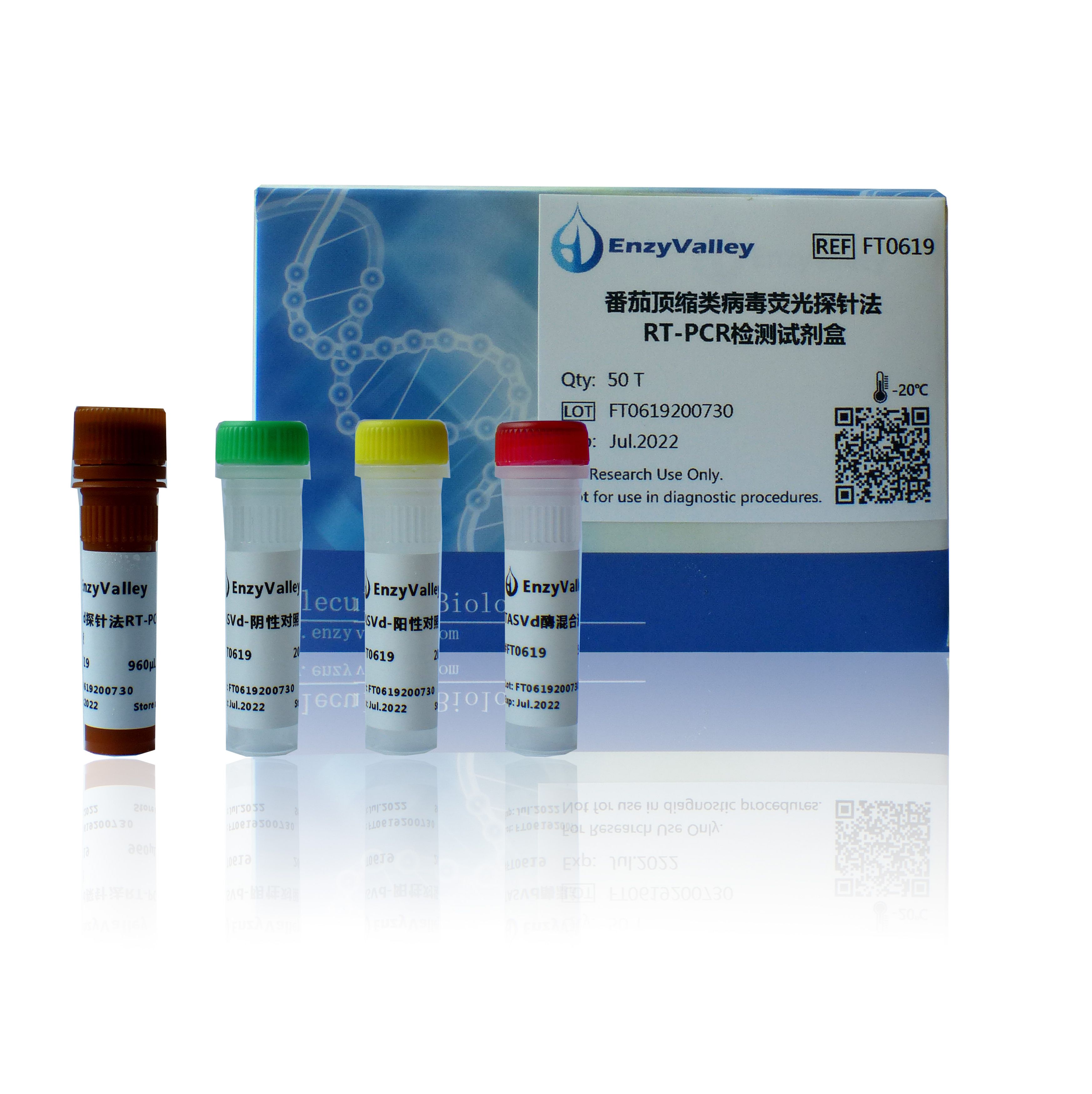 番茄顶缩类病毒荧光探针法RT-PCR检测试剂盒（FT0619）