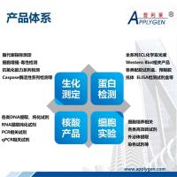 科研服务-免疫组化、特殊染色