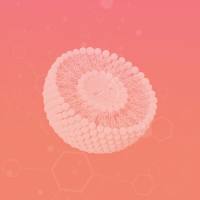 Classic 1600 脂质组学分析服务