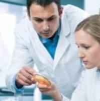 课题整体实验外包