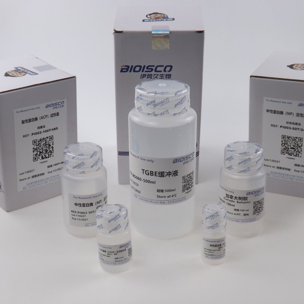 生化试剂标准物质 标准蛋白质溶液(BSA,10mg/ml) 本生