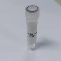 ShRNA慢病毒包装(三保一)