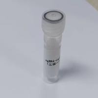 sgRNA-Cas9慢病毒(三保一)