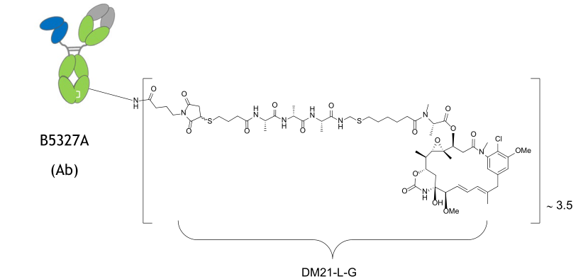 揭秘耐药“魔爪”逃脱秘方：FRα，卵巢癌的新兴治疗靶点