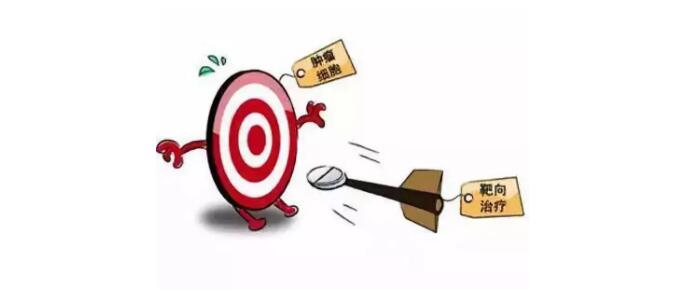 【NEPA21电转助力】anti-EpCAM CAR-T 细胞有效地抑制腹膜肿瘤的病情发展