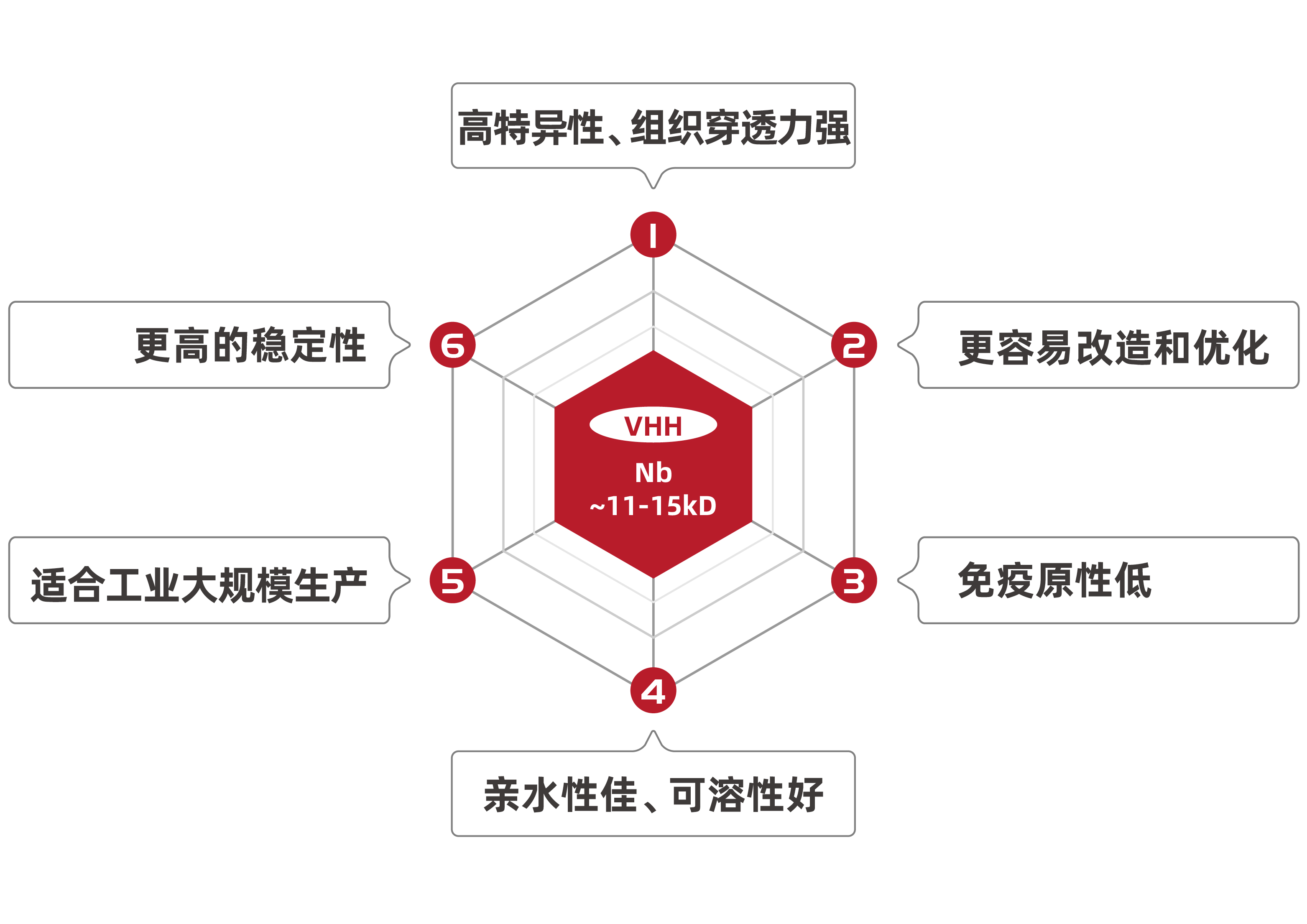 纳米抗体靶点筛选，助力肿瘤 CAR-T 细胞疗法持续发展！