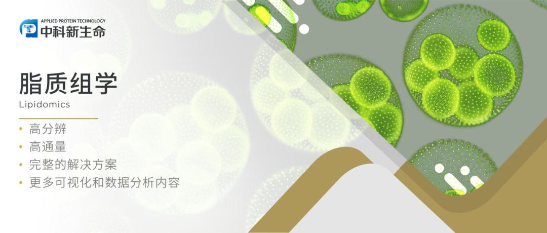 项目文章Environ Int（IF 11.8）|中科院水生所研究揭示微囊藻毒素长期暴露引起哺乳动物小鼠脑区特异性的脂质代谢变化