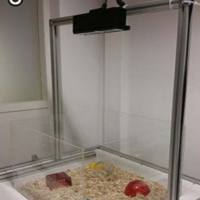 小鼠社交行为实时追踪箱