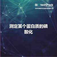 测定某个蛋白质的磷酸化