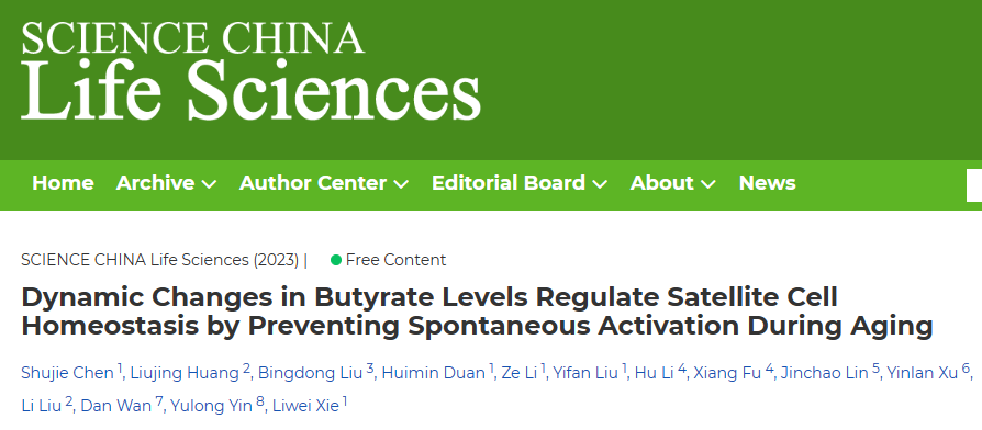 客户案例 | 谢黎炜团队发现丁'酸-Mct1是肠道菌群调控骨骼肌干细胞稳态的关键通路-一条早期预防骨骼肌衰老的新路径