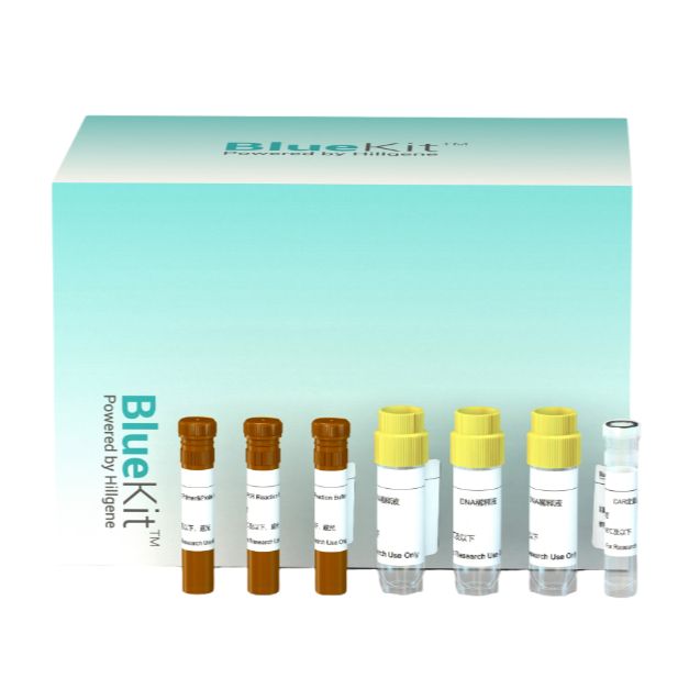 Vero残留DNA 检测试剂盒 (qPCR-荧光探针法)