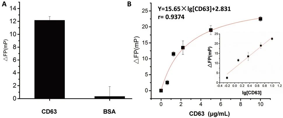 CD63：早期诊断和精准治疗的冉冉新星