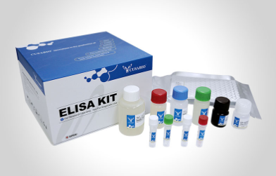 Human SARS-CoV-2 N IgG Antibody ELISA Kit