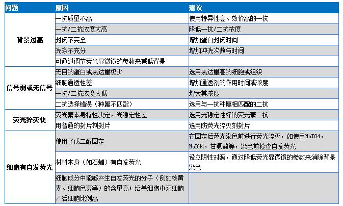 免疫荧光（IF）实验流程步骤及常见问题分析