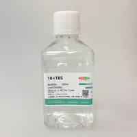 10×TBS缓冲液