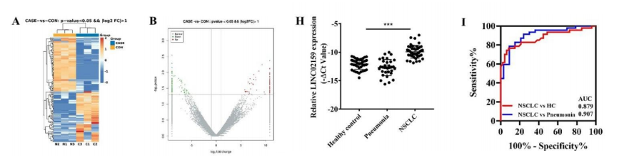 分子探针与表观遗传学研究好文分享：LINC02159 通过 ALYREF/YAP1 信号通路促进非小细胞肺癌的进展（IF = 37.299）